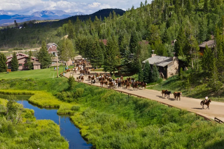 Modern Ranch Lifestyle Destinations USA: A Definitive Audit